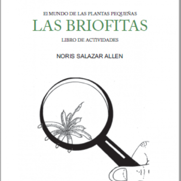 Las Briofitas – El Mundo de las Plantas Pequeñas