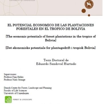 El Potencial Economico De Las Plantaciones Forestales En El Tropico De Bolivia