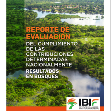 Reporte realizado para evaluar el progreso de los compromisos de Bolivia con la comunidad internacional para la mitigación del cambio climático y la adaptación a sus efectos