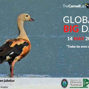 Global BIG DAY