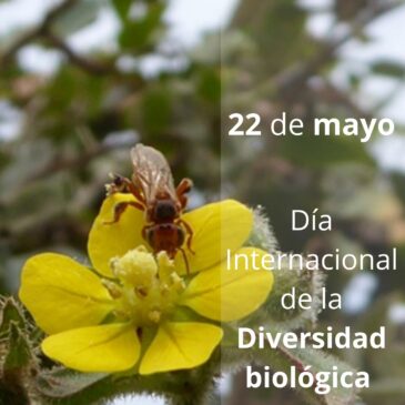 Día internacional de la diversidad biológica