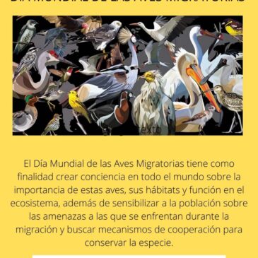 Día mundial de las aves migratorias