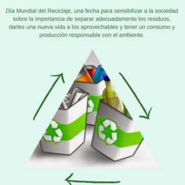 17 de mayo Día internacional del reciclaje