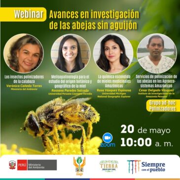 Avances de investigación de las abejas sin aguijón