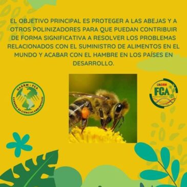 Día mundial de las abejas