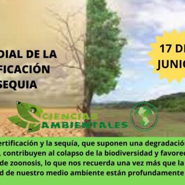 Día mundial de la desertificación y la sequia