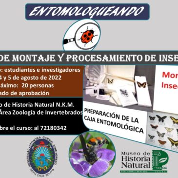 Curso de montaje y procesamiento de insectos