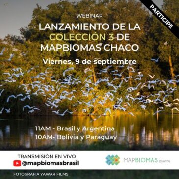 Lanzamiento de la colección