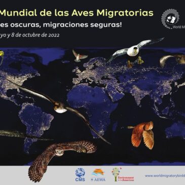 Día mundial de las aves migratorias