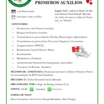 Curso básico de Primeros auxilios