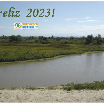 ¡Feliz 2023!