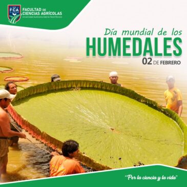 Dia mundial de los Humedales