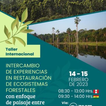 Taller internacional