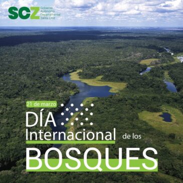 Día internacional de los bosques