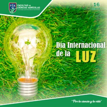 Dia internacional de la luz