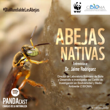 Día mundial de las Abejas