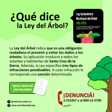 Ley de árbol