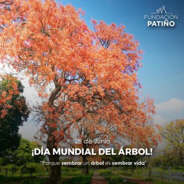 Día mundial del árbol