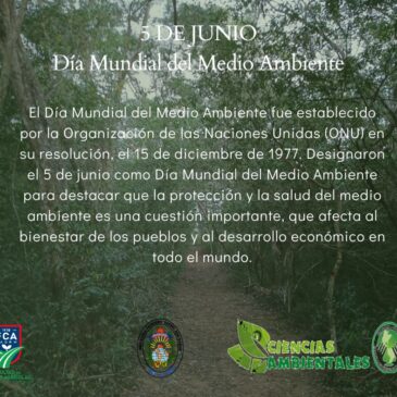 Día mundial de Medio Ambiente