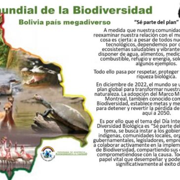 Día mundial de la biodiversidad