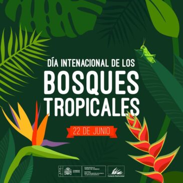 Día internacional de los bosques tropicales