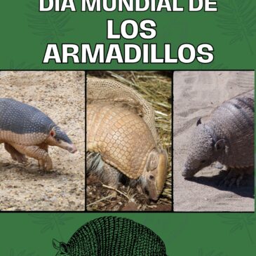 Dìa mundial de los armardillos