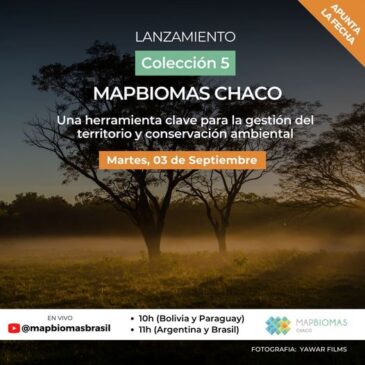 Lanzamiento