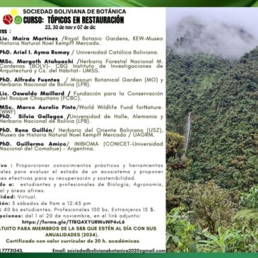 Curso:Tópicos de restauración