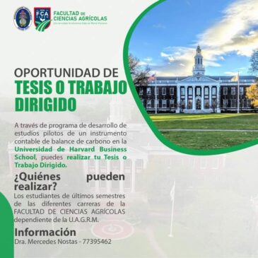 Oportunidad de Tesis