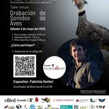 Taller virtual
