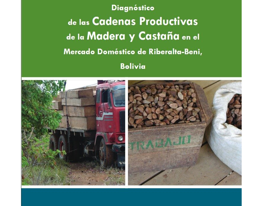 Diágnostico de la madera y castaña en el mercado productivo de Riberalta - Beni