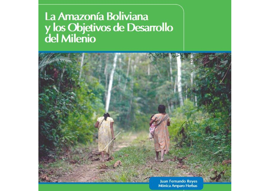 La Amazonía Boliviana y los Objetivos de Desarrollo del Milenio
