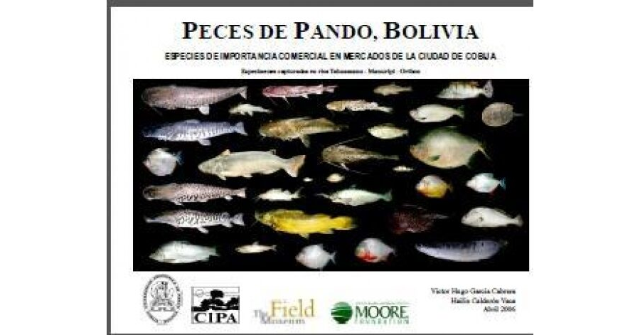 Peces comerciales de Pando