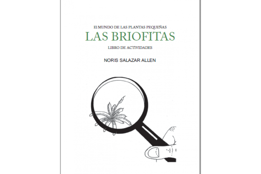 Las Briofitas - El Mundo de las Plantas Pequeñas
